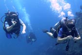 Padi Cours Discover Scuba Diving with DSM Dive on the Gili Island