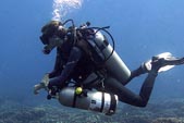 Padi spéciality deep dive around the Gili Island with DSM Dive