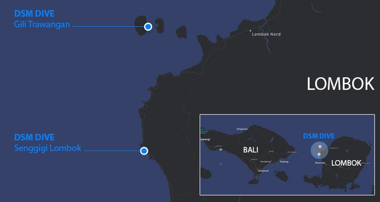 DSM DIVE Location