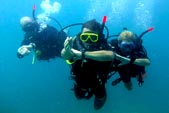 Padi Open Water Courses in Gili Islands with DSM DIVE Center, Human Experience