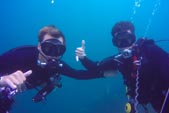 Padi spéciality Underwater photography dive around the Gili Island with DSM Dive