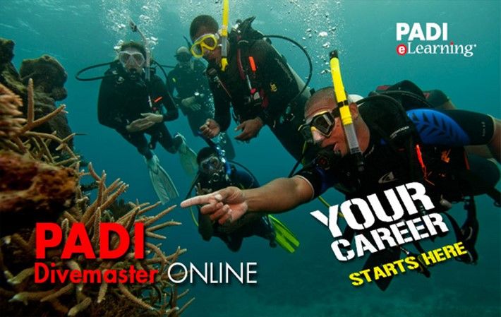 PADI Divemaster course online