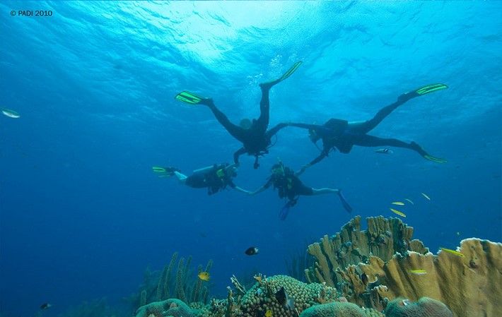 Padi Open Water Courses