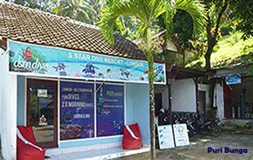 DSM DIVE Puri Bunga Office