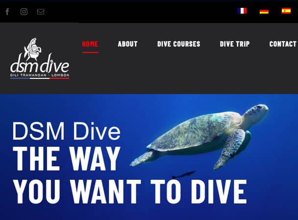 Front Page DSM DIVE