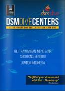 dsm dive e-book