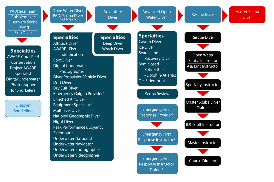 Padi open. Padi курсы. Пади дайвинг. Система Padi. Структура курсов Padi.