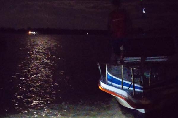 Night Dive with DSM DIVE 1